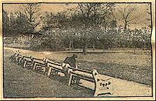 Two generations ago Brunswick Park, Wednesbury, was waste land. Now it is a cultivated park.