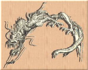 CHINESE DRAGON