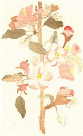 Miniature of Mary Gray's Watercolour
